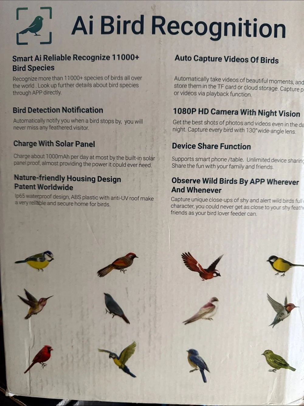 Remote Control Camera Bird Feeder – Blue/White Roof